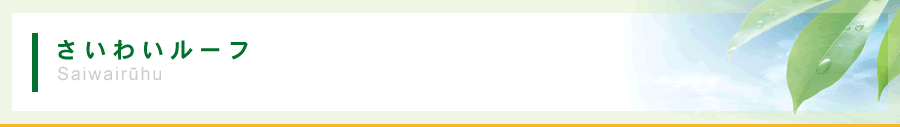 株式会社エコハウス さいわいルーフ