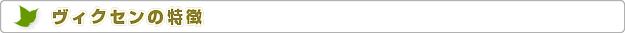 株式会社エコハウスエンジニア　ヴィクセンの特徴