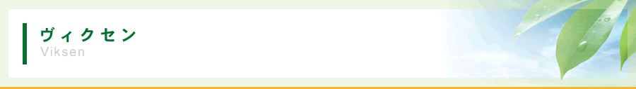 株式会社エコハウス ヴィクセン